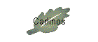 Carlinos