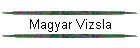 Magyar Vizsla